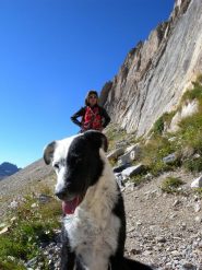 il simpatico cane dei francesi