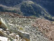 L'imponente fronte della pietraia