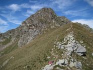 Il Monte Roux