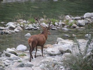 Incontro in bassa valle