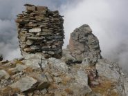 cima giardonera