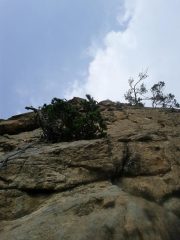 il bellissimo nono tiro