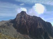 il Matto in bella vista