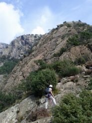 un colpo d'occhio sugli ultimi tiri