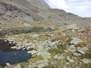 Alpe Rate Desot
