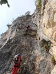 tratto verticale