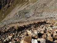 Scendendo dal Colle D'Orgials