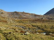 Il sentiero nel prato verso il Colle della Lombarda