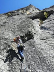 L8 6B+ bella dulfer atletica