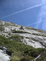 Terzo tiro un pò disturbato dalla vegetazione