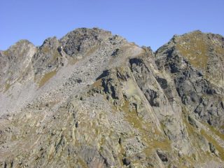 Il cossarello