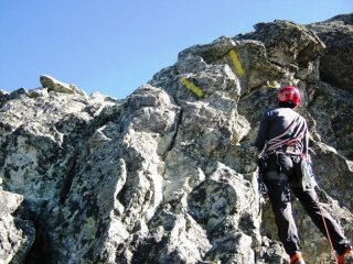 Quasi in cima!e evidentissime tacche gialle