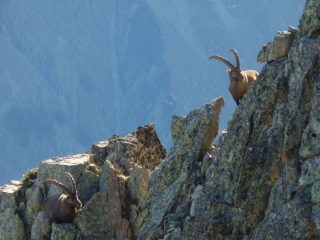 ..i padroni di casa osservano il mio arrivo