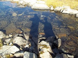 Bagno d'ombra