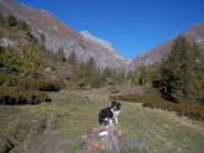 in fondo il colle dell'Urina