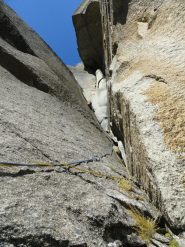 L5, la variante Perucca