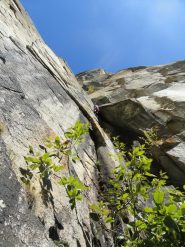 chiara su L2, bellssimo!