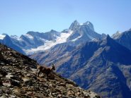 Un simpatico incontro