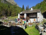 Boschiettiera