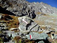 L'inconfondibile freccia direzionale