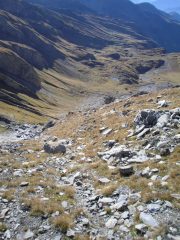 in salita sui ripidi dossi erbosi..