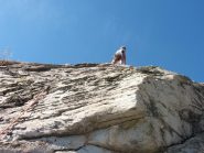 L2 Separazione