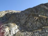 Inizio tratto dal Passo  