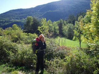 si trovano more ancora gustose..