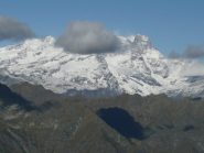 Zoom sul Rosa