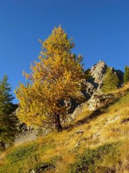 autunno