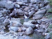 torrente elvo