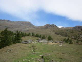 parte alta della gita...in alto a destra la cima