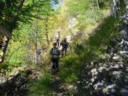 nel bosco sul sentiero n.2A