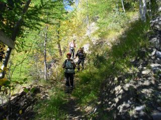 nel bosco sul sentiero n.2A