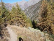 è arrivato l'autunno