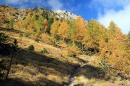 gli splendidi colori autunnali nel bosco sotto la Punta Vigeusaz (15-10-2011)