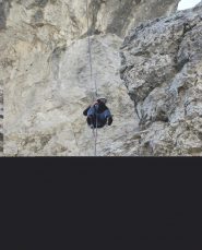doppia dal fungo