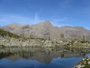 L'uja di Mondrone si specchia nel Lago di Afframont