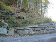 si attraversa la strada e ci si inoltra nel bosco