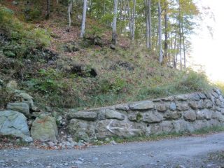 si attraversa la strada e ci si inoltra nel bosco