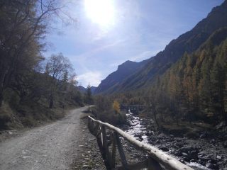 la val troncea in veste autunnale