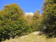 Tripudio di colori alla partenza