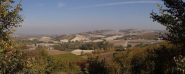Le colline di Ozzano