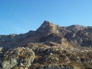 Laurasca
