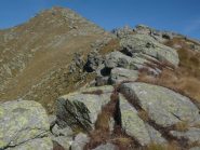 la testona si avvicina