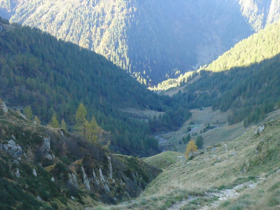 dal colle guardando verso Carcoforo