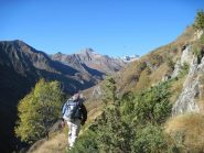 Parte fra le piante