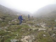 nella nebbia nella parte mediana