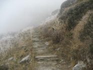 in salita sotto il passo della Forcoletta