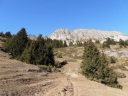 06 - Il bosco rado scendendo verso Lanslevillard